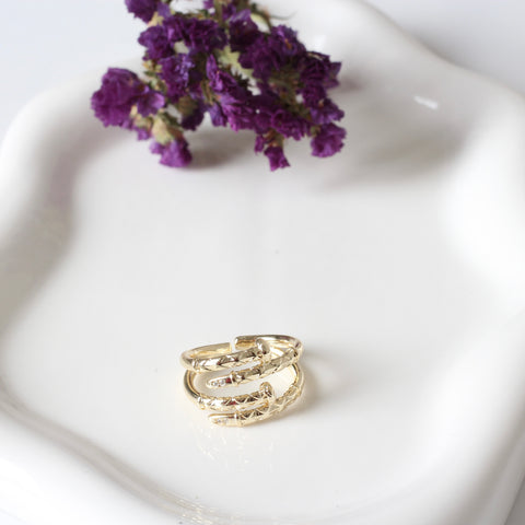 ANILLO CLAVOS