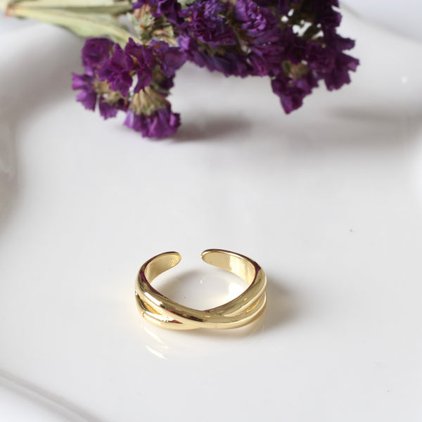ANILLO EQUIS